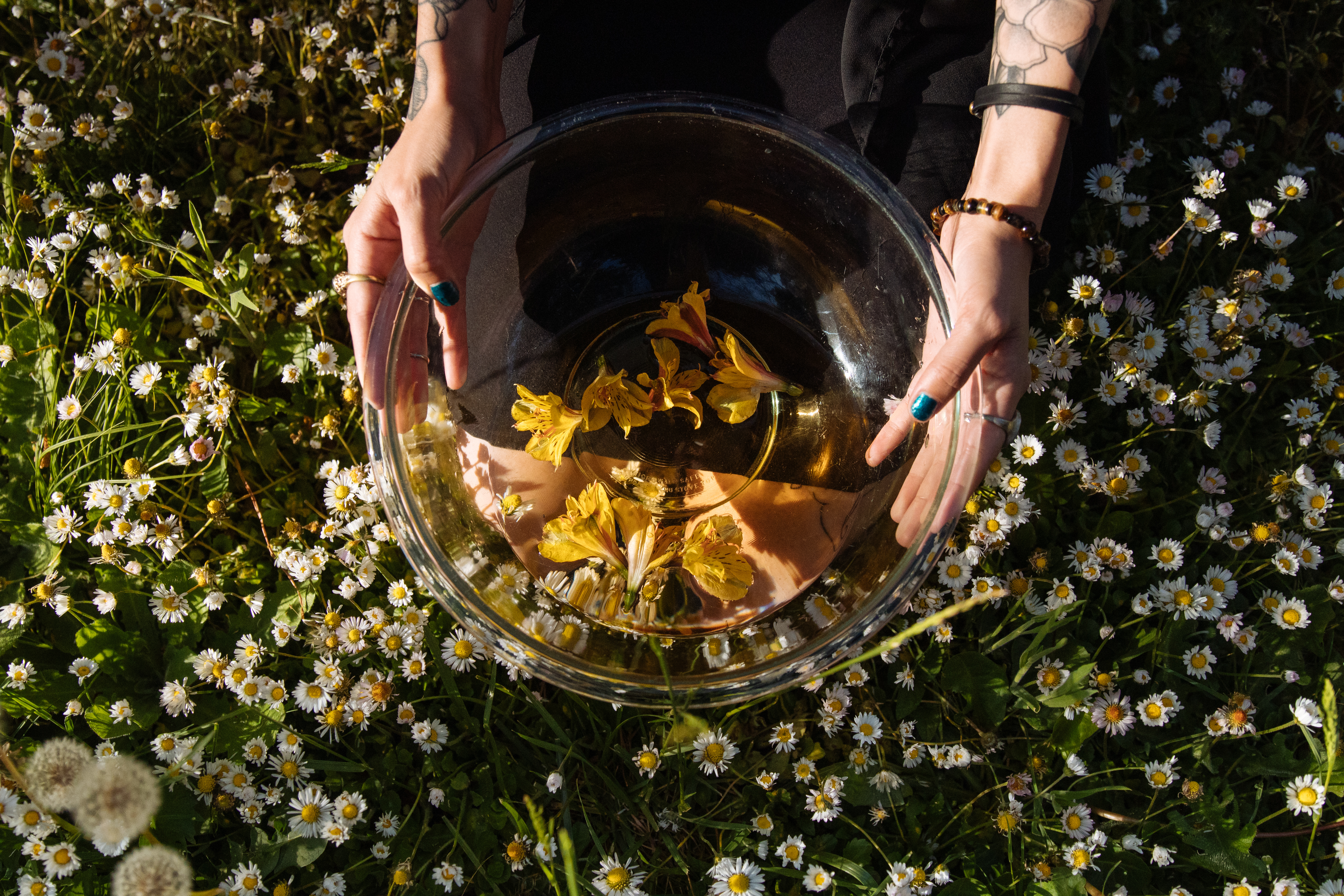 Woman holding bowl of flowers in a field of flowers