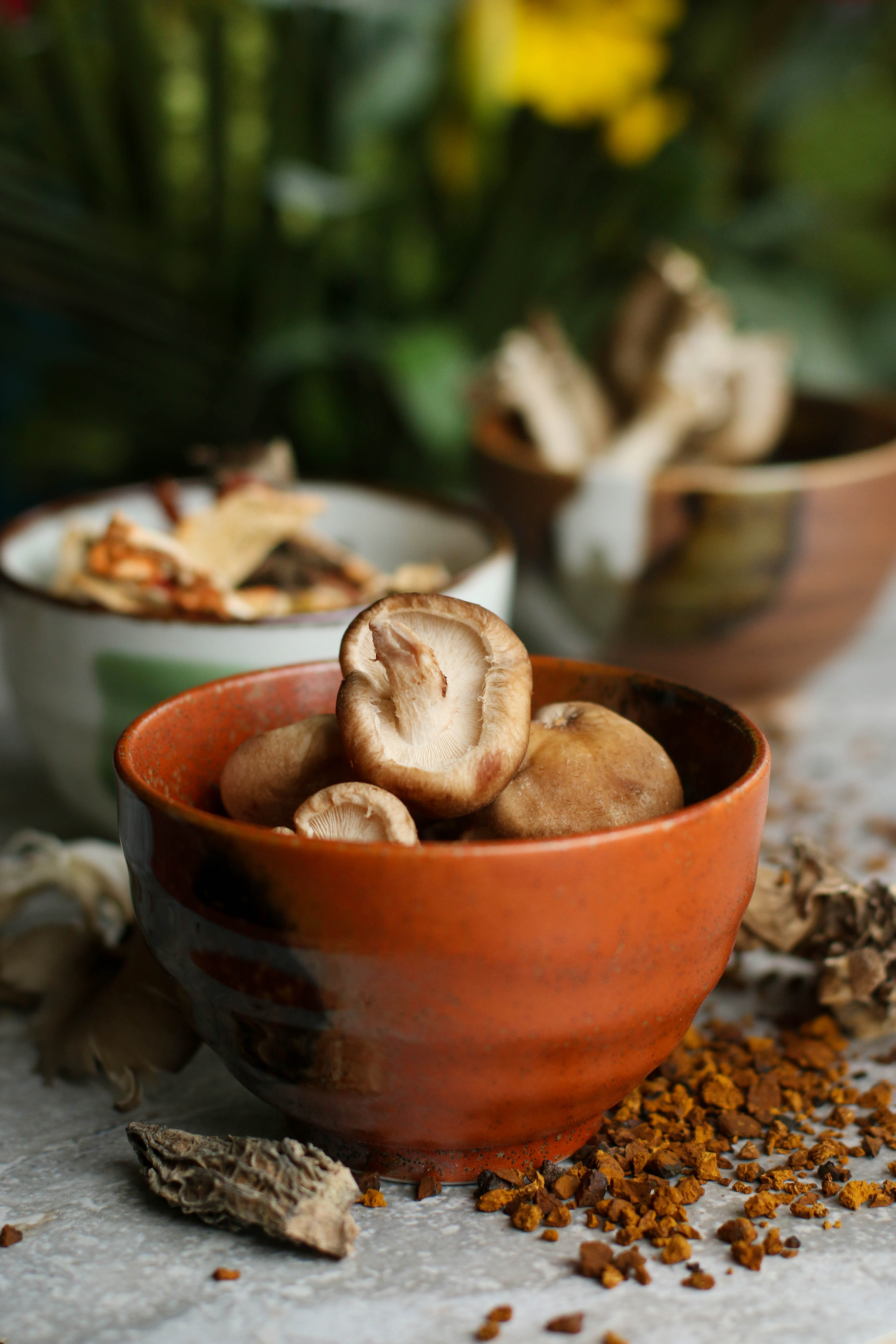 ceramic-bowls-of-fresh-mushrooms-on-table-with-plants-in-background