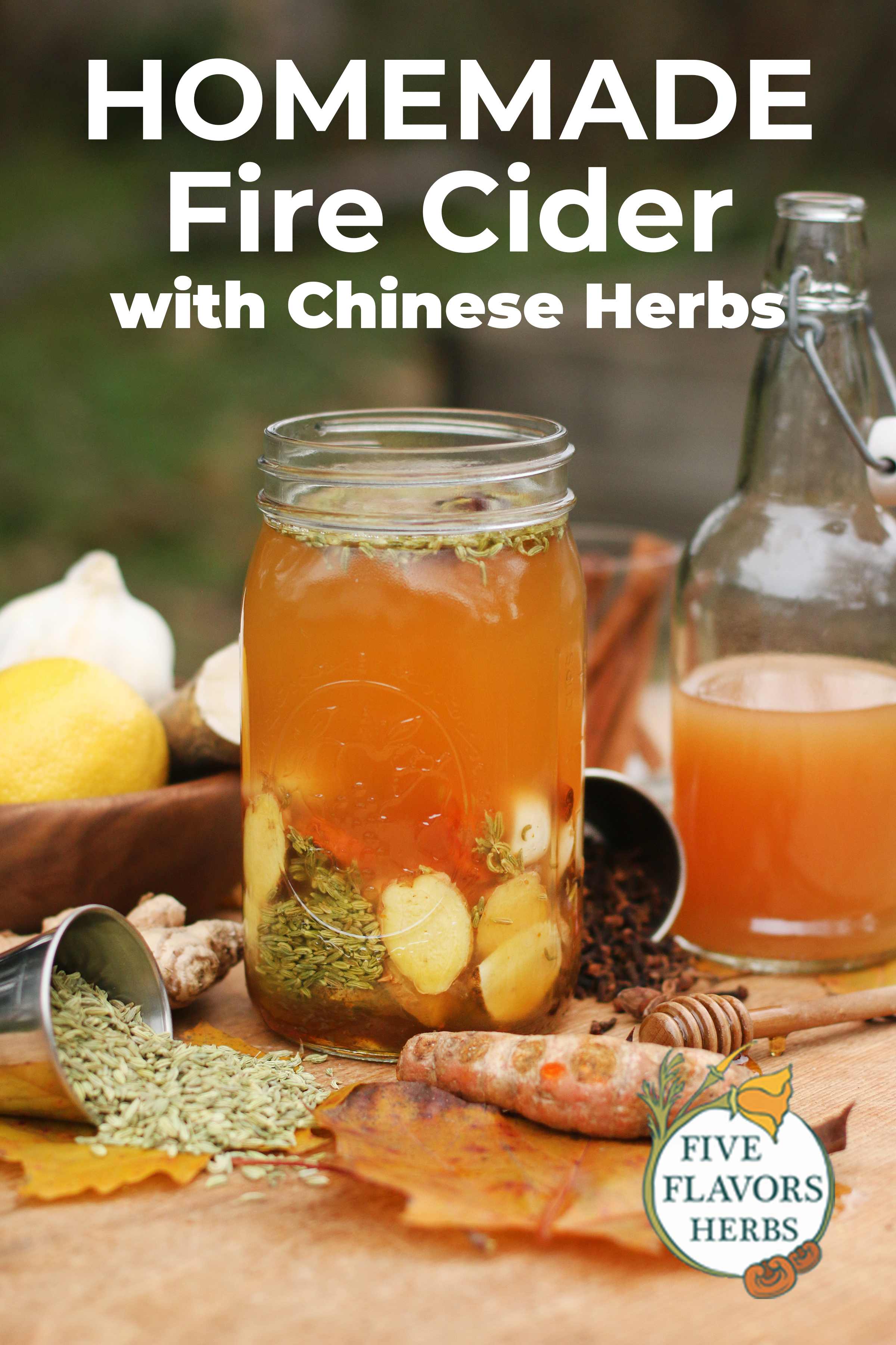 Homemade-fire-cider-Chinese-five-spice-recipe-from-Five-Flavors-Herbs