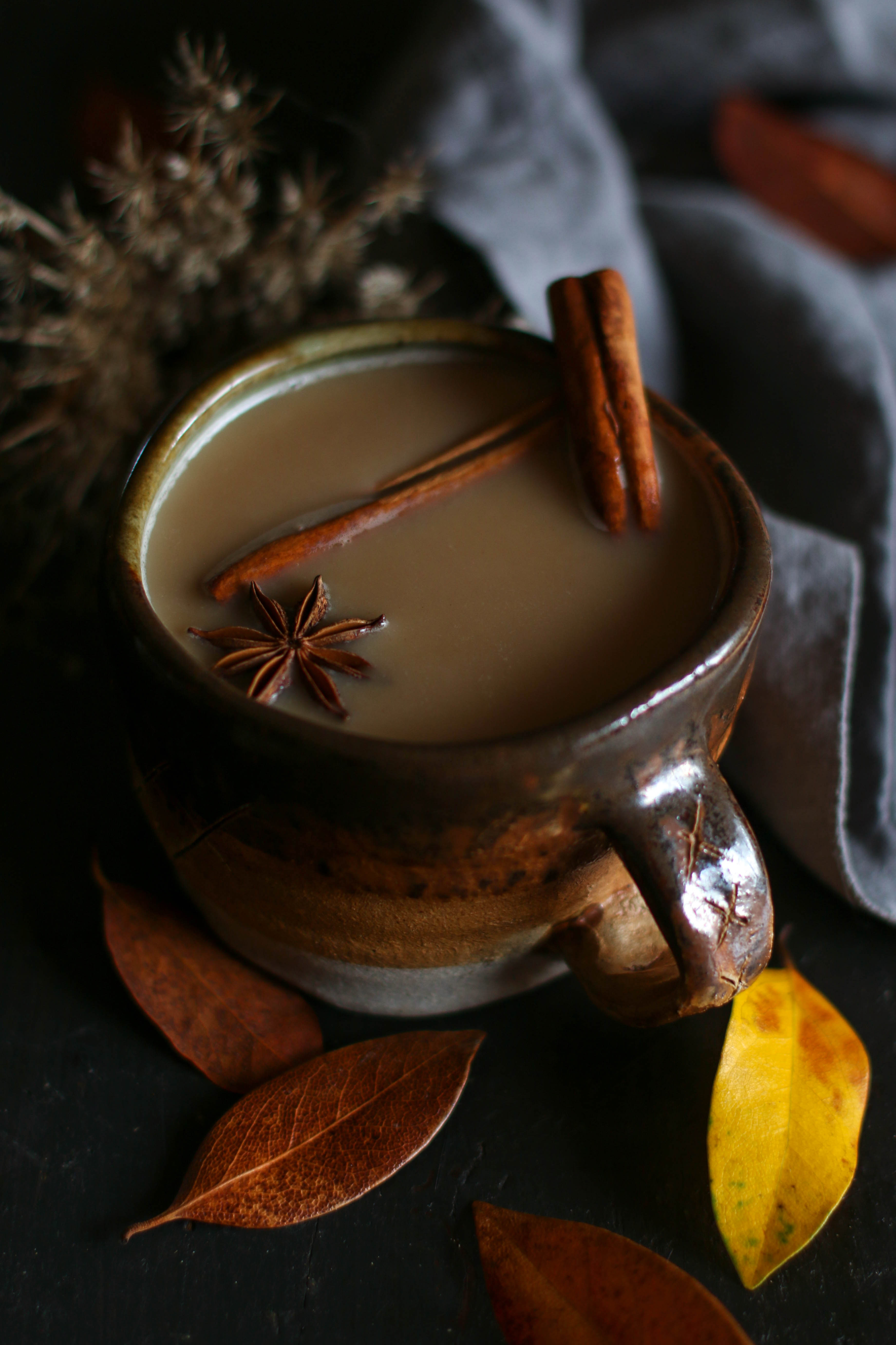 reishi-mushroom-hot-cocoa-in-mug-with-cinnamon-sticks