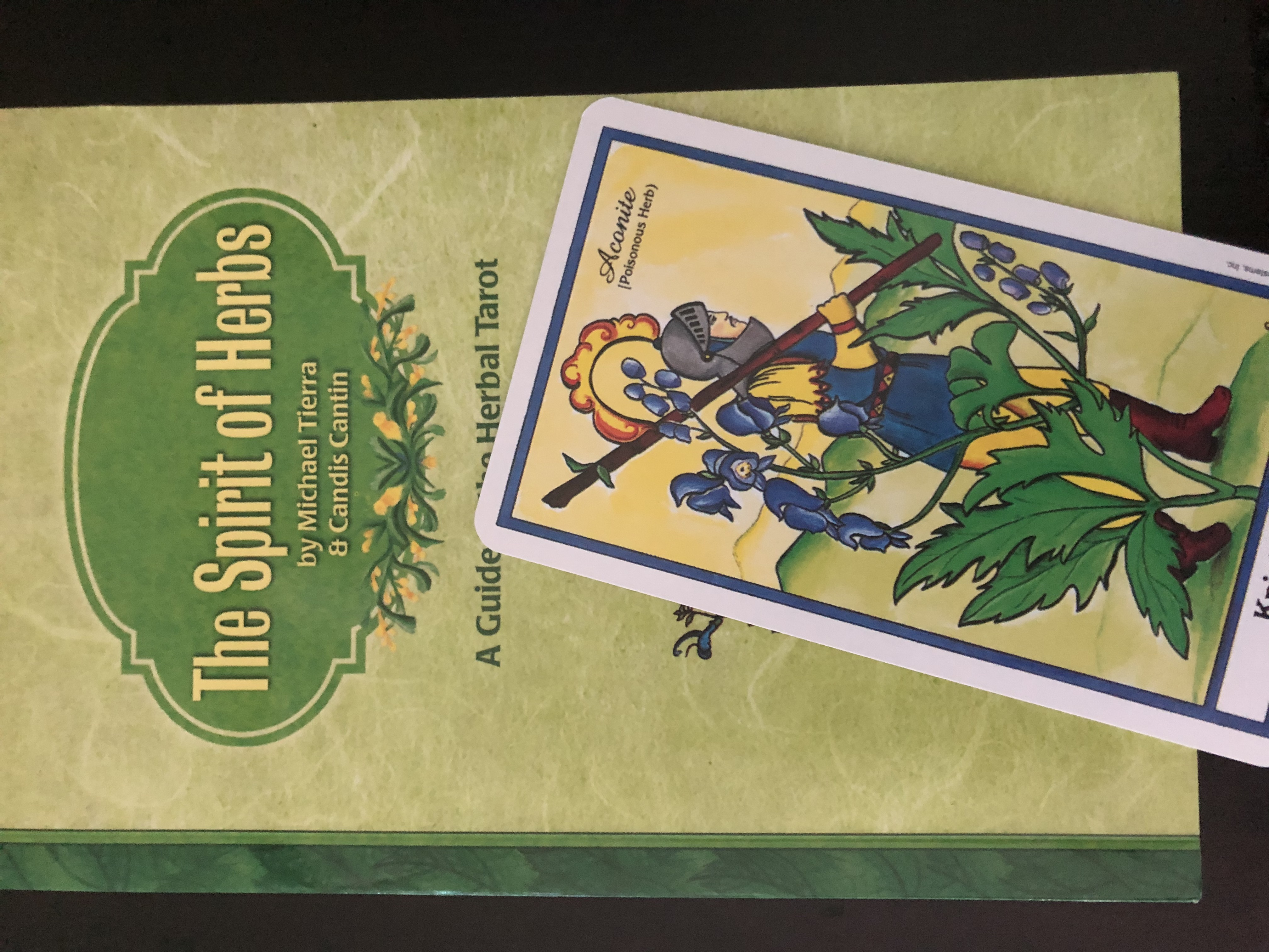 Herbal-tarot-book-by-tierra-and-cantin-with-knight-of-wands-card-with-monkshood-illustration