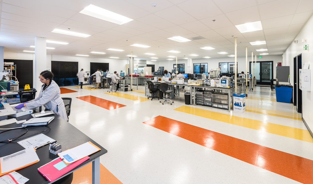 wide-shot-of-laboratory-testing-area-with-orange-yellow-and-white-striped-floors-and-tables-with-microscopes-and-other-lab-equipment