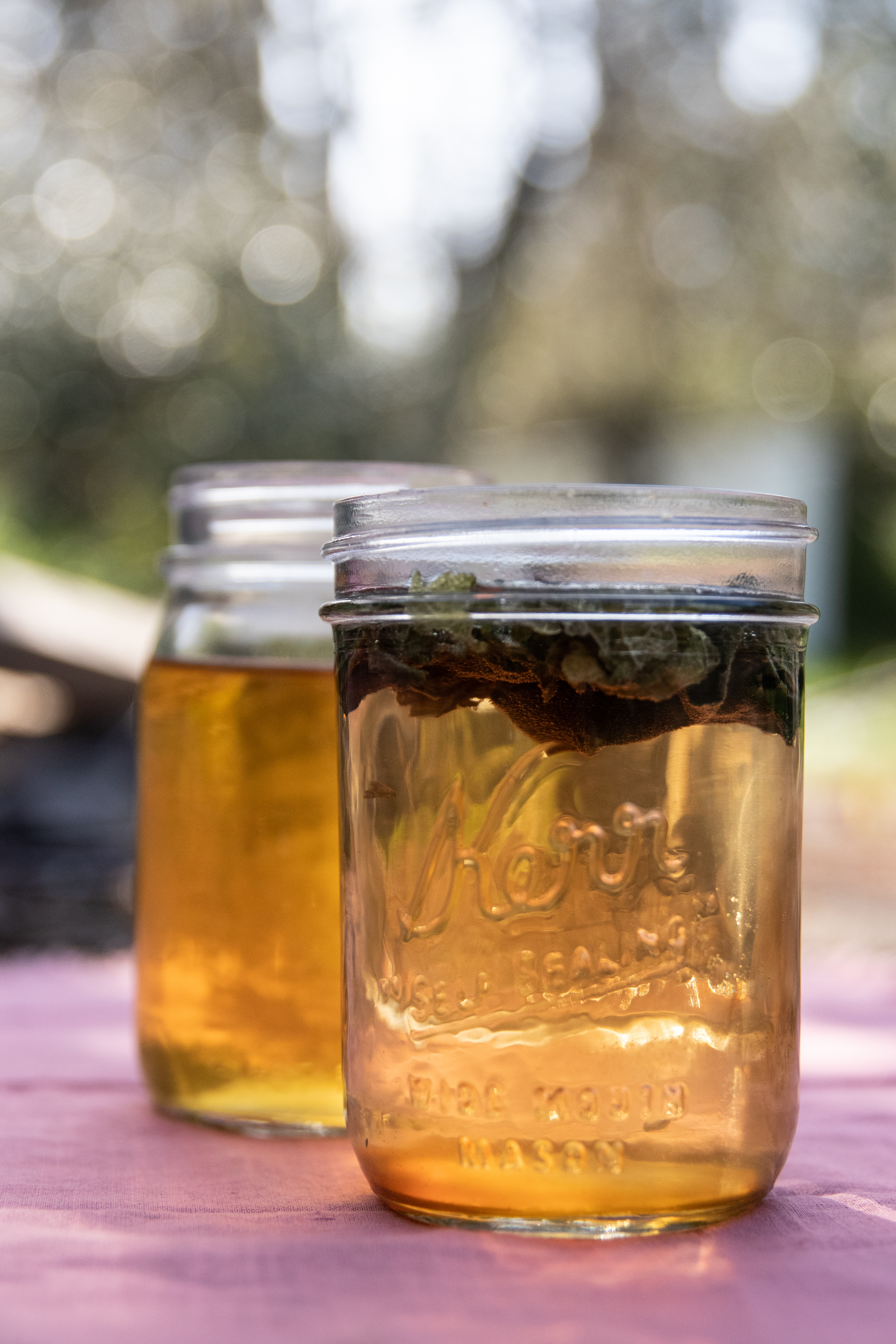 glass-wide-mouth-pint-jars-of-nettle-tea-sitting-on-table-outdoors