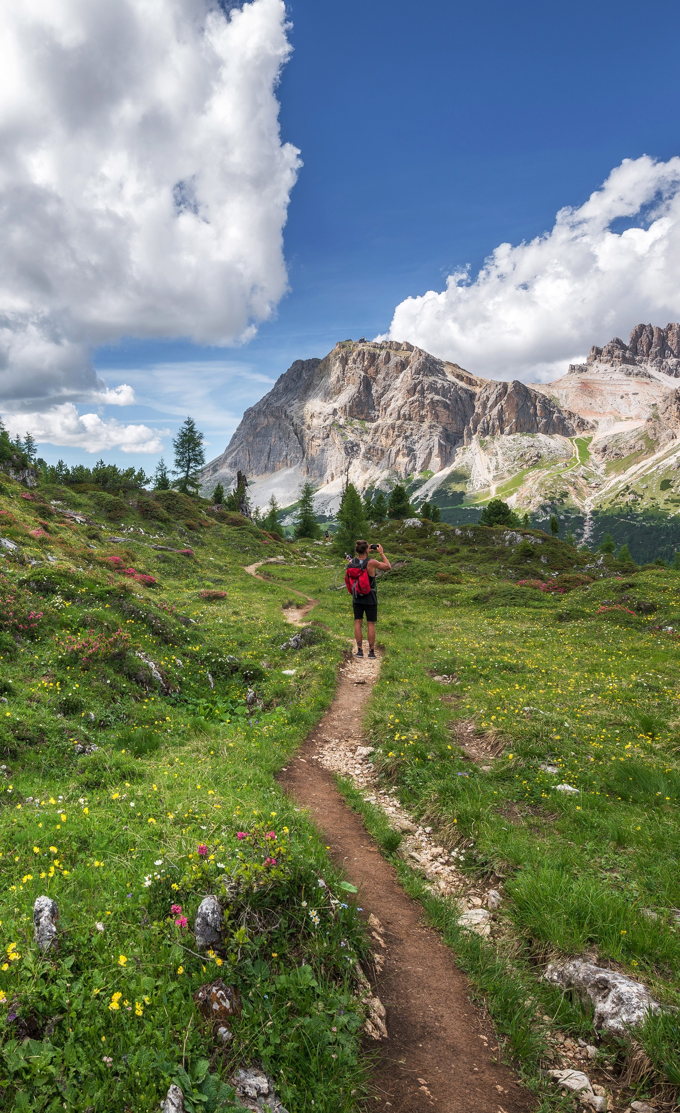 young-hiker-with-man-bun-with-back-turned-on-dirt-trail-in-green-valley-of-wildflowers-taking-photo-of-mountains-in-distance