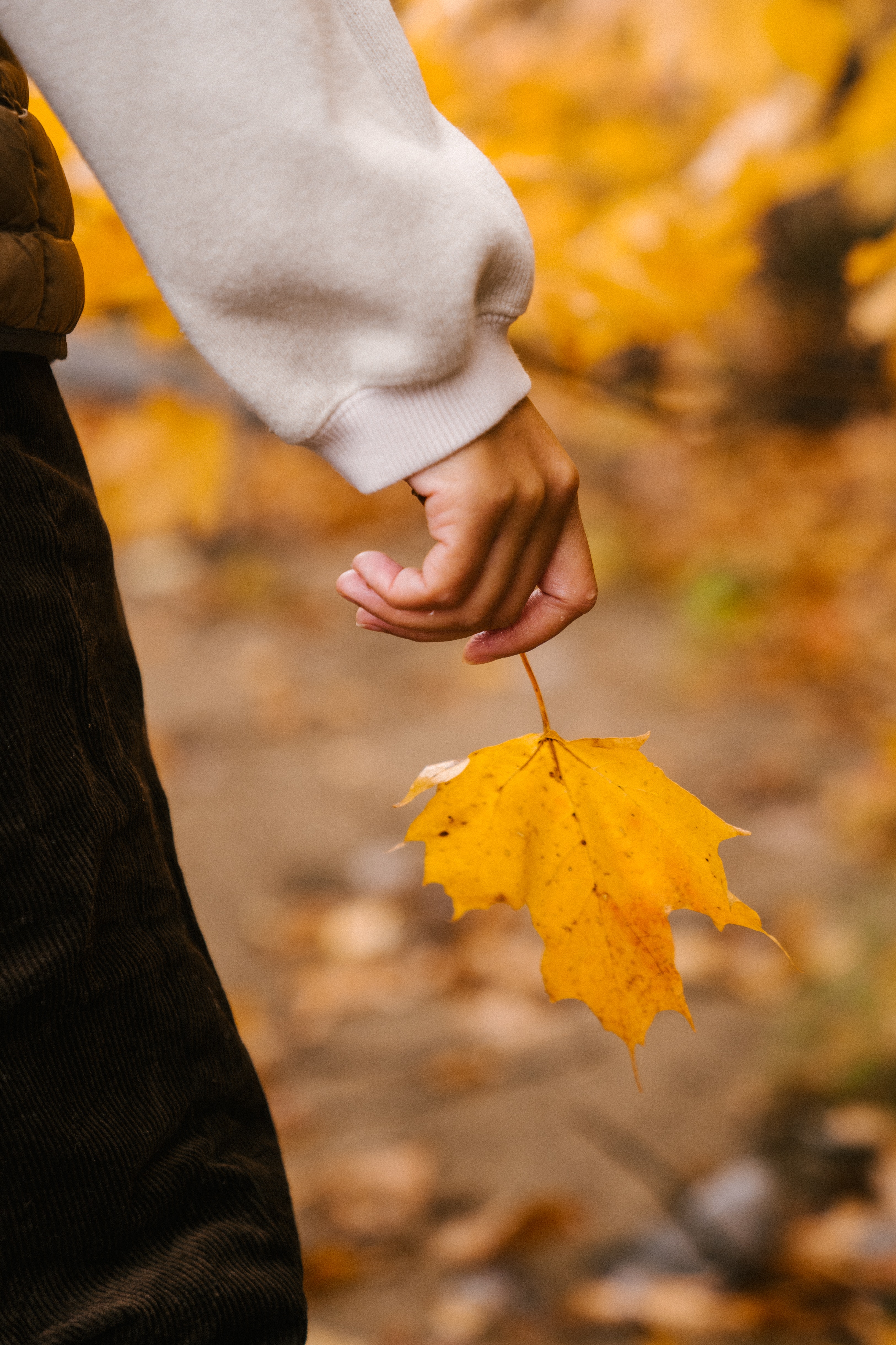 arm-covered-in-sweatshirt-hanging-to-side-holding-yellow-fall-leaf-with-autumn-outdoor-scene-in-background