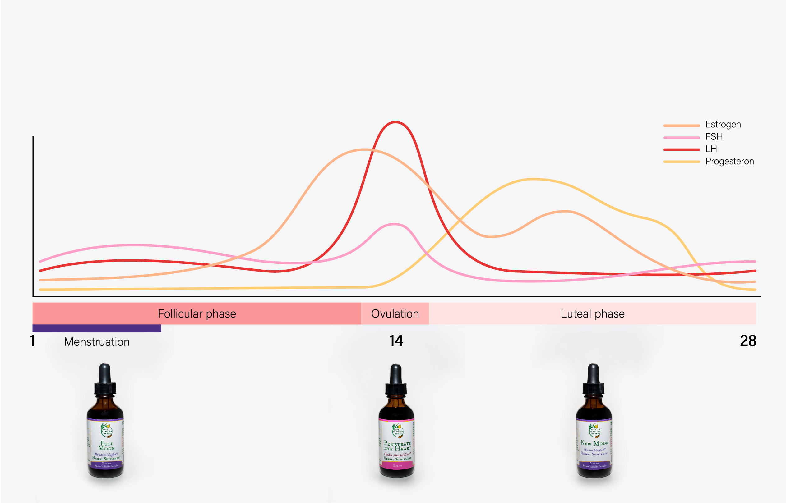 Supporting the Luteal Phase With Integrative Medicine