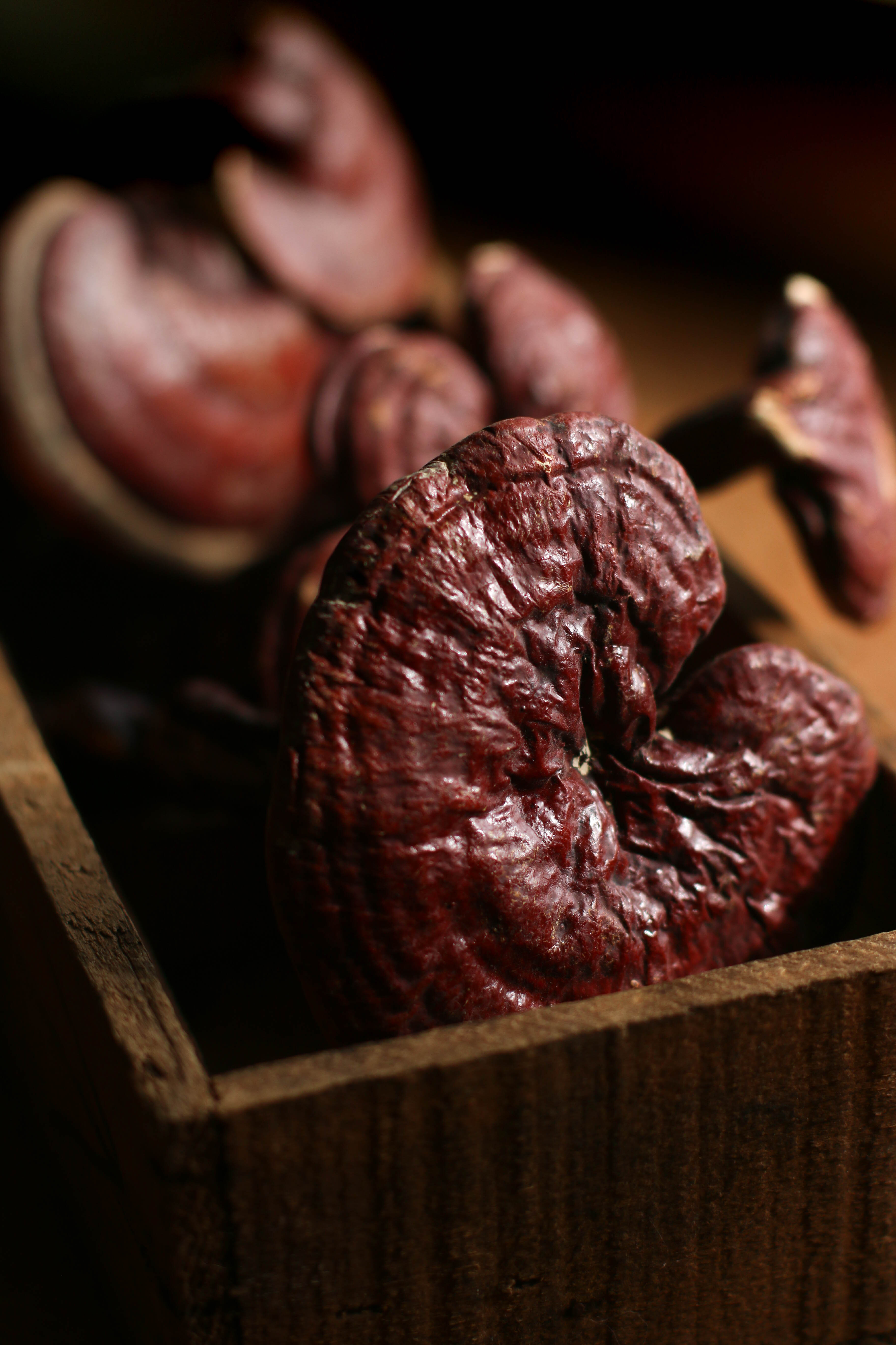 Reishi mushrooms in a wooden box