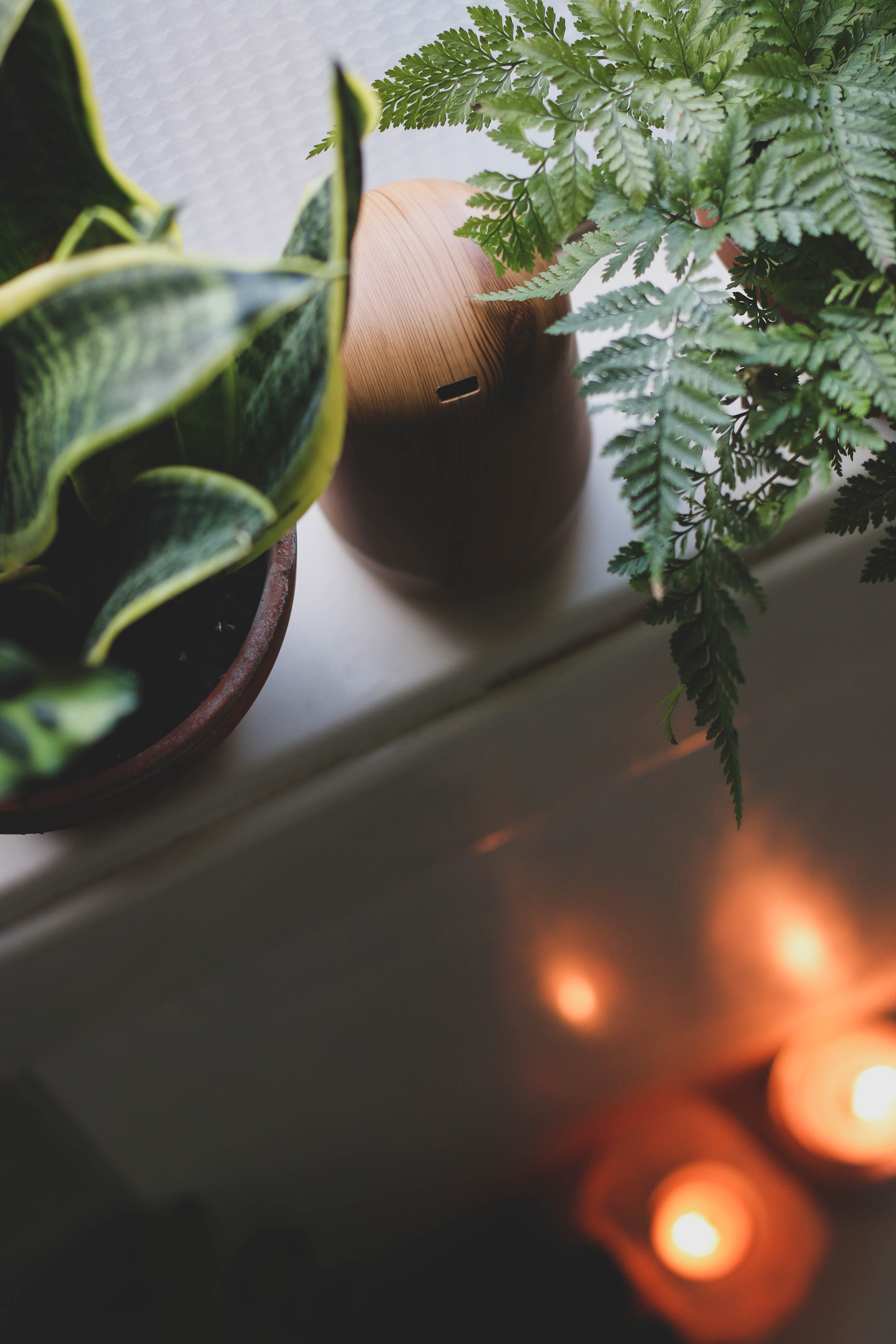 wooden-essential-oil-diffuser-on-windsill-with-plants-and-lit-candles