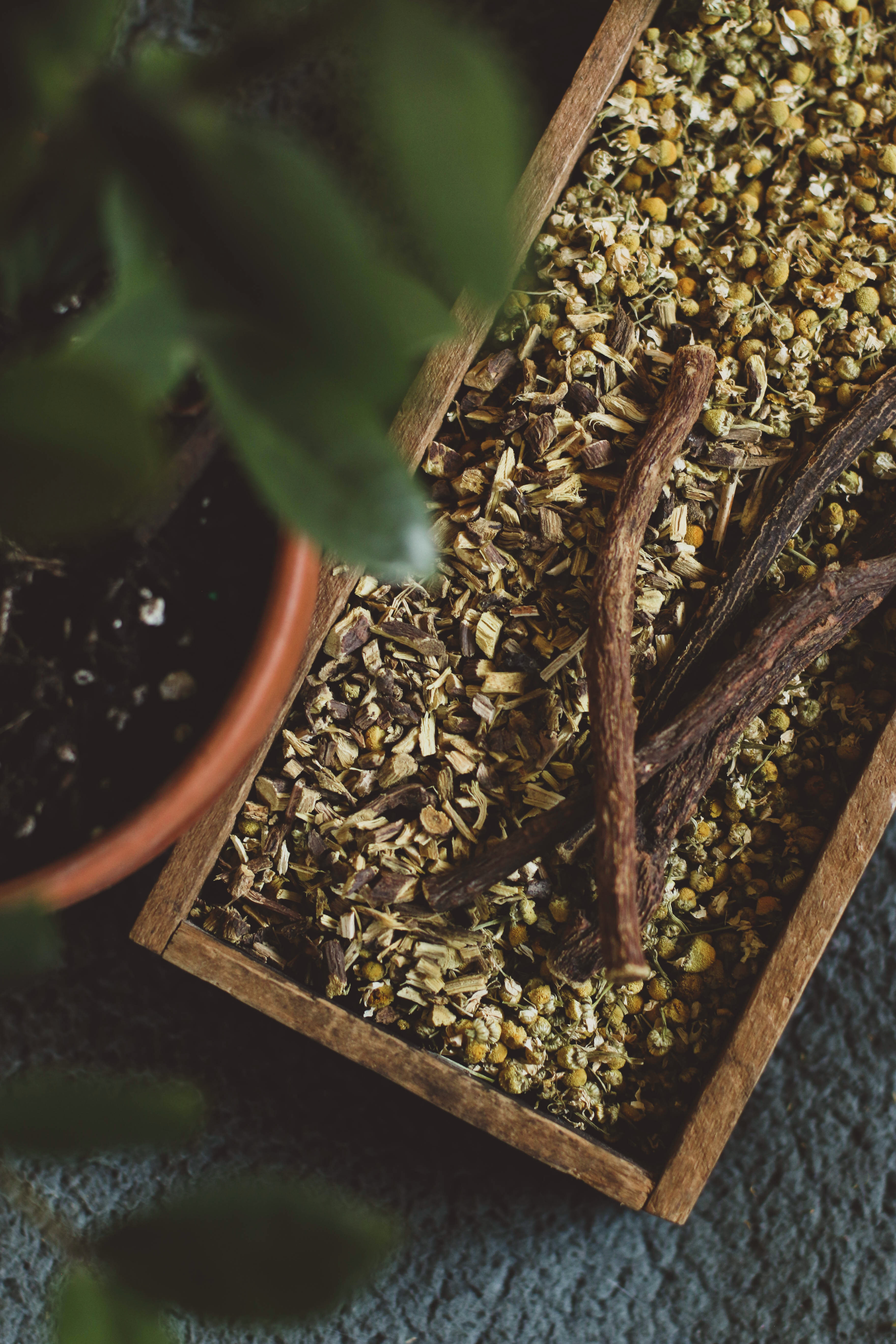 ashwagandha-and-other-sleep-herbs-in-wooden-box-with-plants