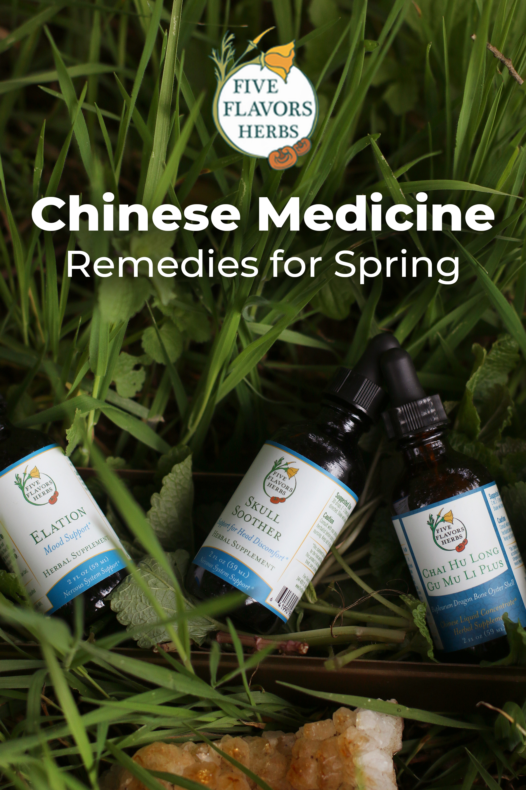 chinese-medicine-remedies-for-spring-pin-with-three-tincture-bottles-in-bed-of-fresh-green-grass-and-leaves