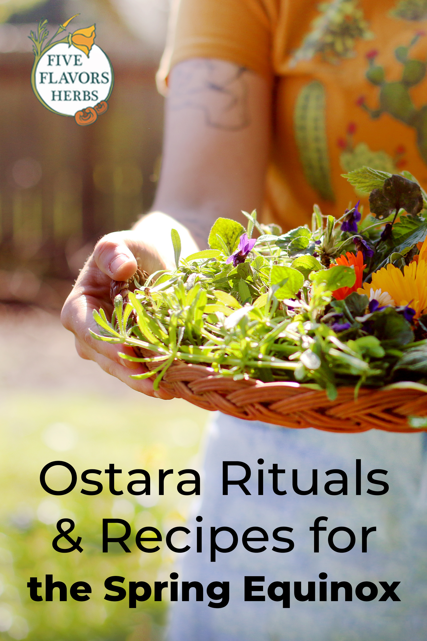 ostara-spring-equinox-herbs-and-rituals-pin-with-woman-holding-basket-of-fresh-flowers