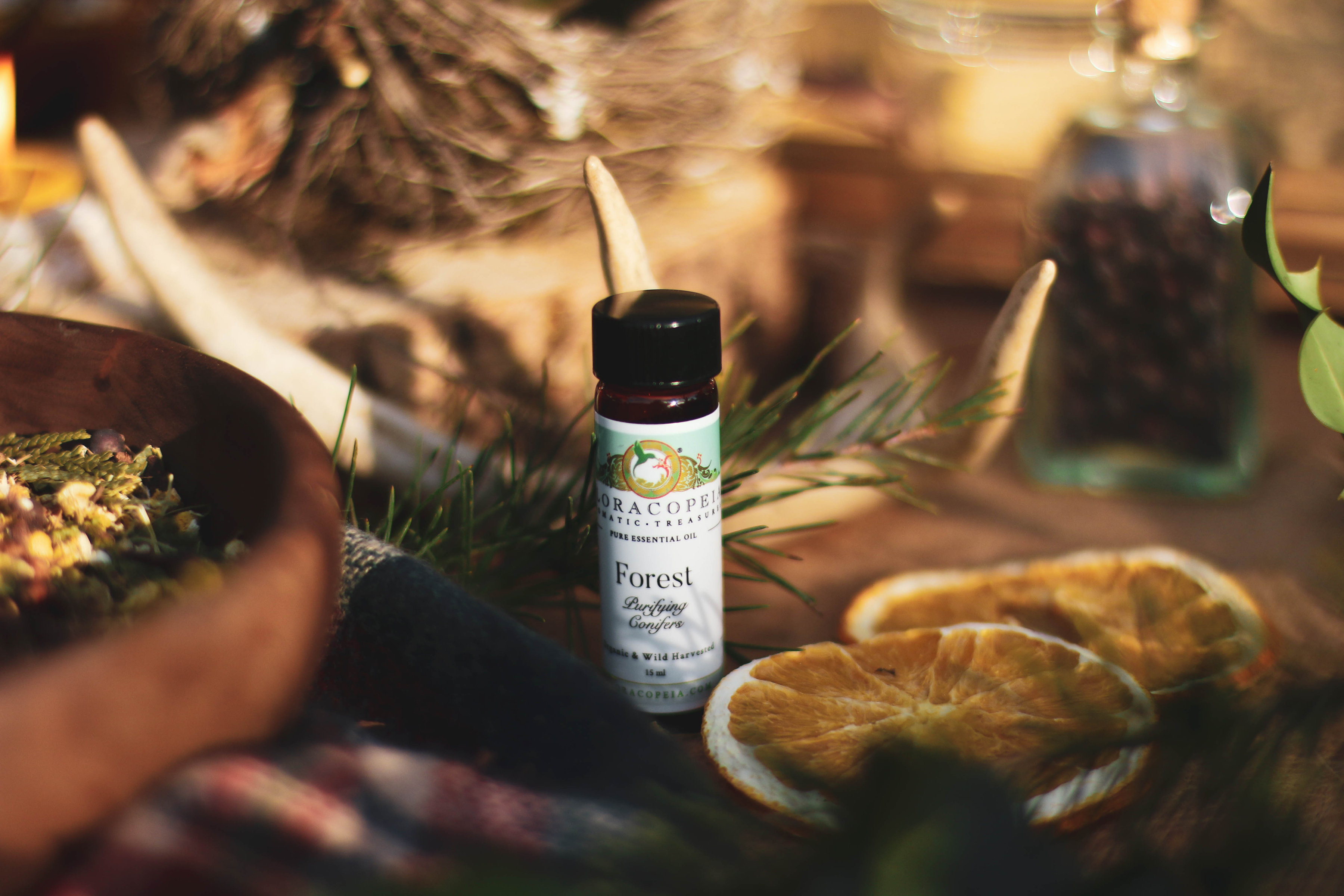 Forest-essential-oil-blend-bottle-on-table-with-winter-solstice-herbs-and-antlers