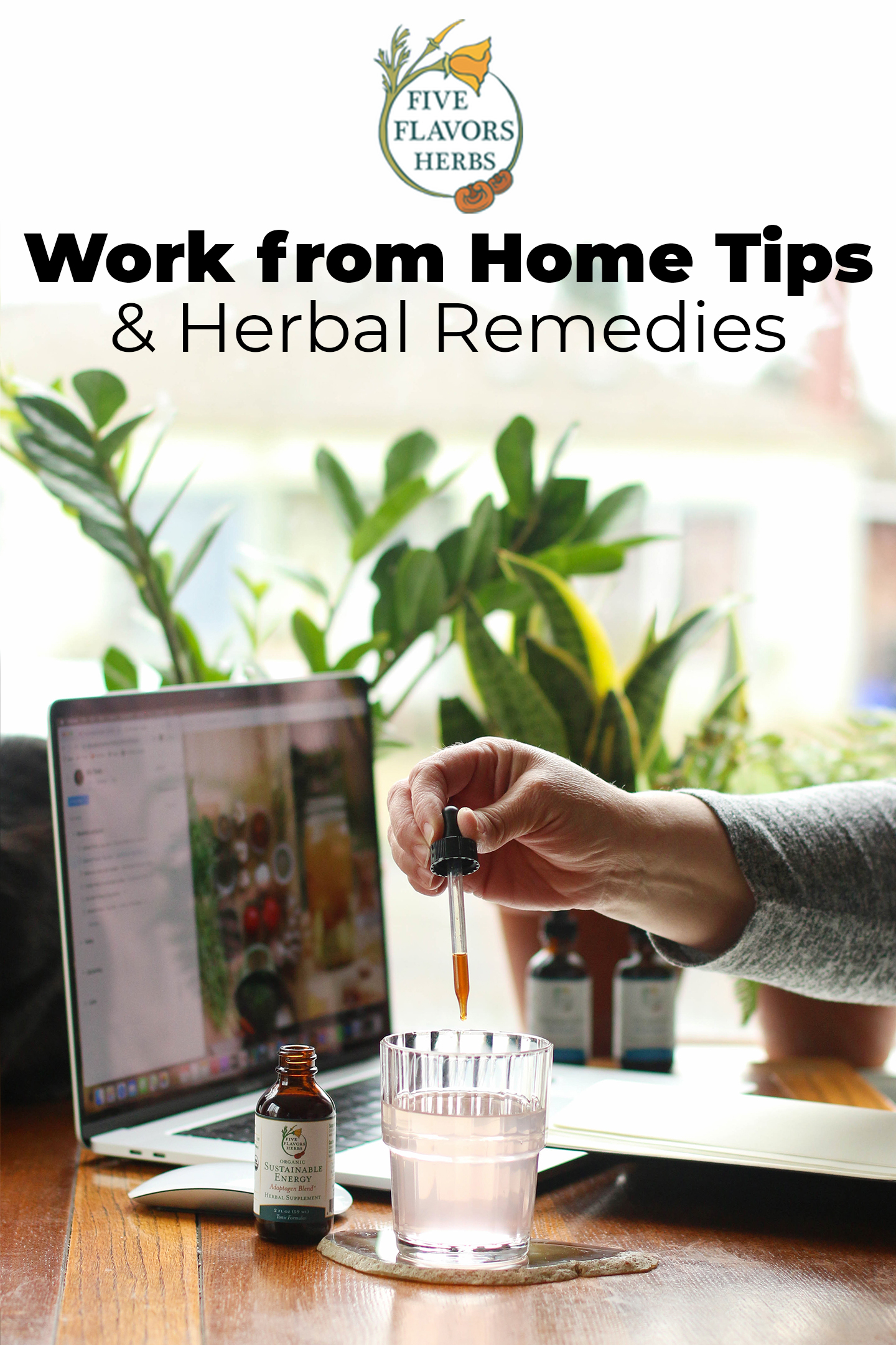 work-from-home-tips-home-office-setup-with-plants-and-sunlight-on-desk